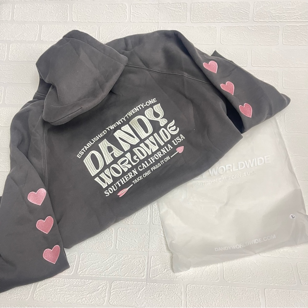 NWT Dandy Worldwide Hoodie ❤️